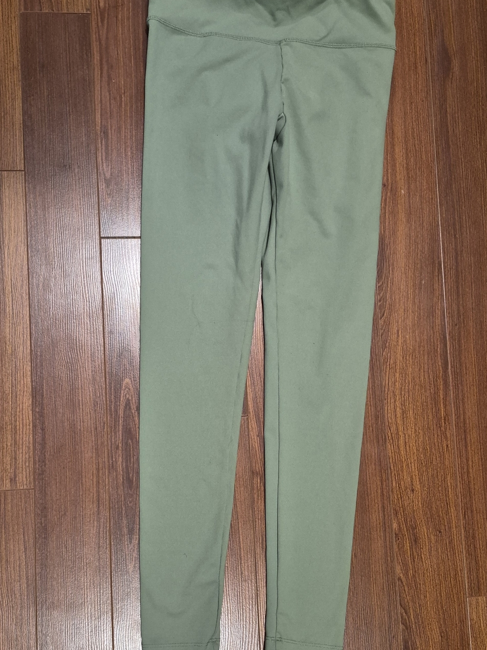 Danskin Sage Green Leggings
